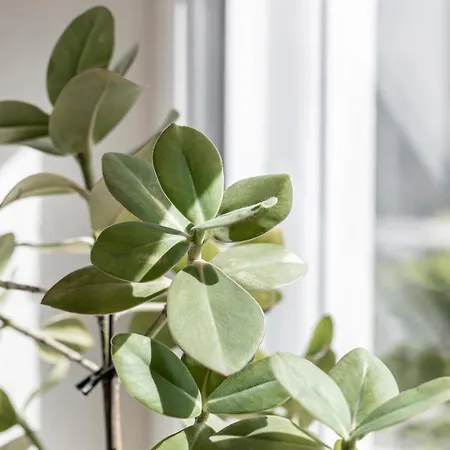 Kiechls Homebase - Adults Only Appartement