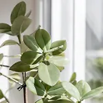 Kiechls Homebase - Adults Only شقة